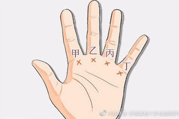 手指10锣:探寻独特命运之道 手指10锣:探寻独特命运之道