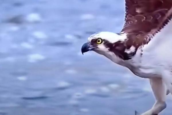 手心厚的男人，命运的厚度与人生的深度