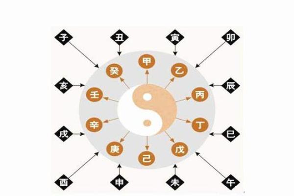 三命人和两命人的区别:命理解析与人生轨迹的深度剖析 三命人和两命人的区别:命理解析与人生轨迹的深度剖析