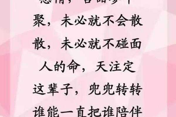三命人和两命人的区别:命理解析与人生轨迹的深度剖析 三命人和两命人的区别:命理解析与人生轨迹的深度剖析
