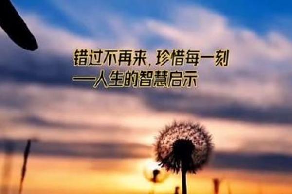 以成语为鉴,探寻人生的智慧与启示 以成语为鉴,探寻人生的智慧与启示