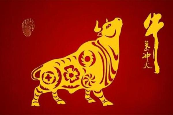 深入了解属牛人的命运与性格特征 深入了解属牛人的命运与性格特征