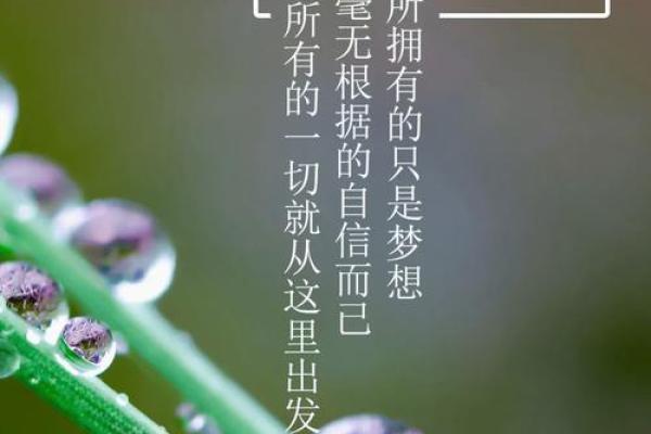 为何我们要等待搏命的结束,才能迎来新的开始? 为何我们要等待搏命的结束,才能迎来新的开始?