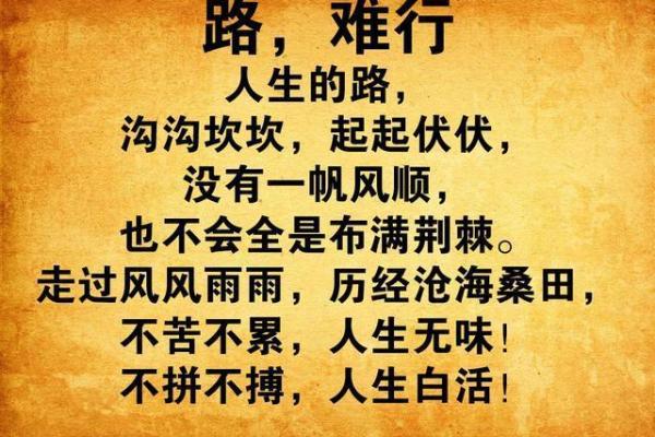 1981年正月十九:命运的转折与人生的轨迹 1981年正月十九:命运的转折与人生的轨迹