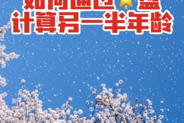 命理解析:揭秘偏门命格的独特魅力与挑战 命理解析:揭秘偏门命格的独特魅力与挑战