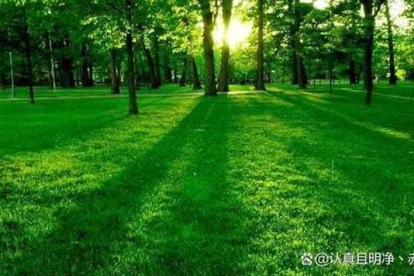 夜晚几点入睡,你的命运将发生哪些微妙变化? 夜晚几点入睡,你的命运将发生哪些微妙变化?