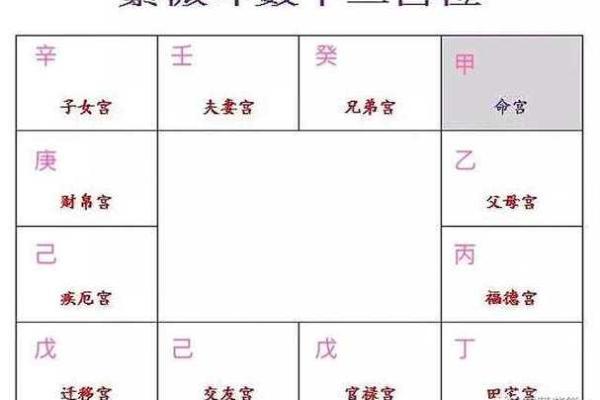 探秘紫微命:命理中的个性与天赋之谜 探秘紫微命:命理中的个性与天赋之谜