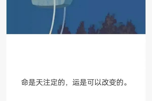 命与运:如何在命运的洪流中找到自己的方向 命与运:如何在命运的洪流中找到自己的方向