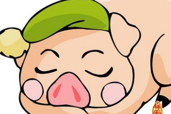 属猪秋天出生的命运解析:优雅与智慧的结合 属猪秋天出生的命运解析:优雅与智慧的结合