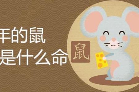 属鼠的人1973年命理解析：解密你的性格与运势之路