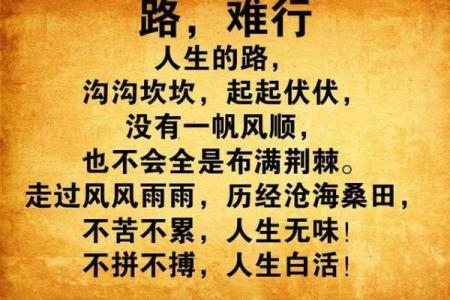 1981年正月十九：命运的转折与人生的轨迹