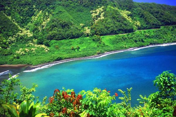 金命与土命人适合的生意推荐,助你事业腾飞! 金命与土命人适合的生意推荐,助你事业腾飞!