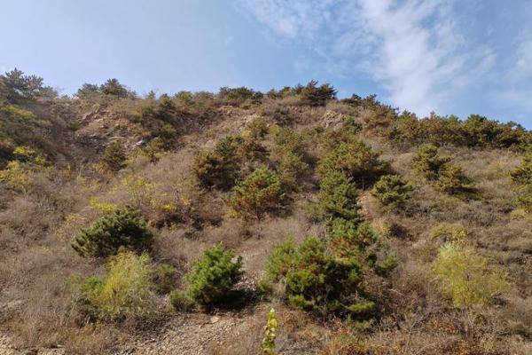 福气最佳之人：细说命运中的好运与财富