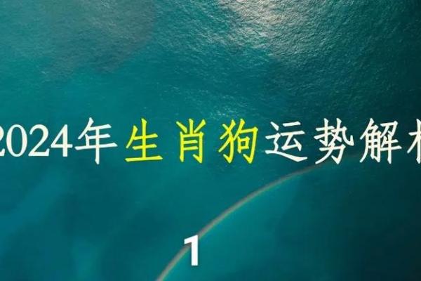 属狗40岁的人命运解析：掌握生肖运势的秘密与智慧