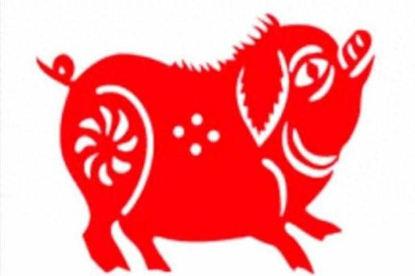 属猪74岁运势解析：命理与生活的精彩交织