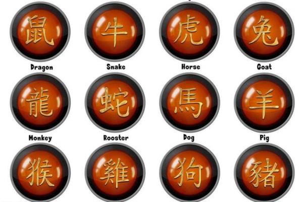 不同属相的命运：探秘生肖背后的命理解析