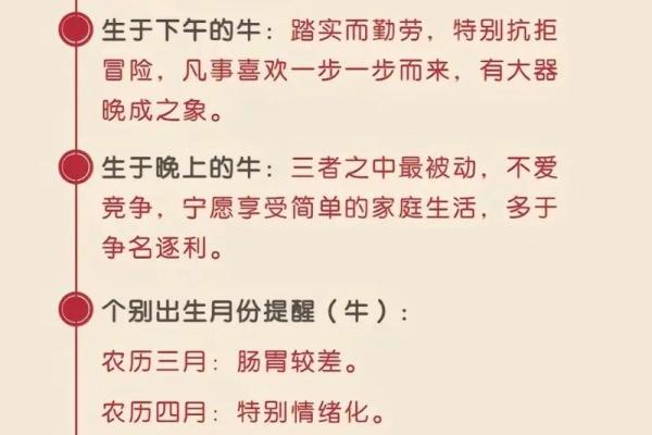 2023年是兔年，揭秘兔年出生者的命理与运势特征！