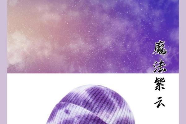 紫色的魅力：如何与鲜明色彩搭配，展现独特风格