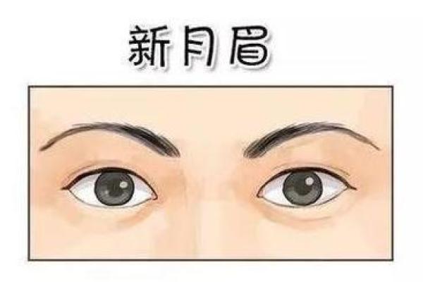 掉眉毛的人命运解析：揭开眉毛与命运的神秘关系