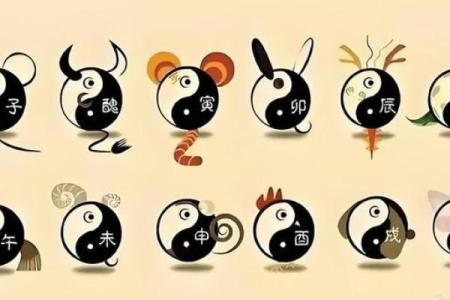 不同属相的命运：探秘生肖背后的命理解析