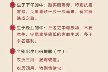 2023年是兔年，揭秘兔年出生者的命理与运势特征！