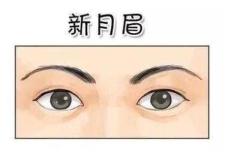 掉眉毛的人命运解析：揭开眉毛与命运的神秘关系