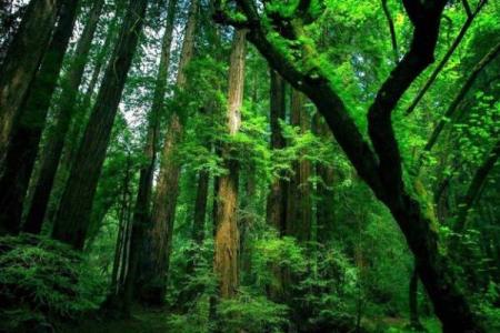 戊辰命理解析：克服命相中的隐患，找到心灵的平衡之道