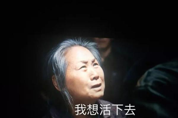 《拿钱换命》：一场扣人心弦的生死较量