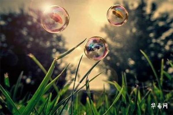 兔宝宝正月出生，命理揭秘与人生指南