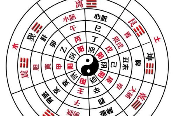 命理中的五行探秘:金木水火土如何影响我们的命运? 命理中的五行探秘:金木水火土如何影响我们的命运?