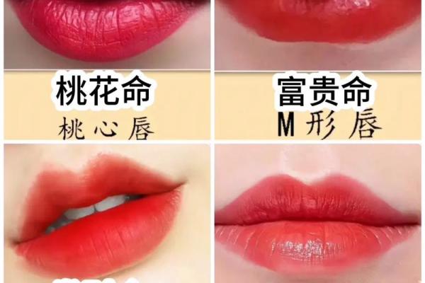 嘴型与命运:探究“根据人长什么嘴就什么命”的深层含义 嘴型与命运:探究“根据人长什么嘴就什么命”的深层含义