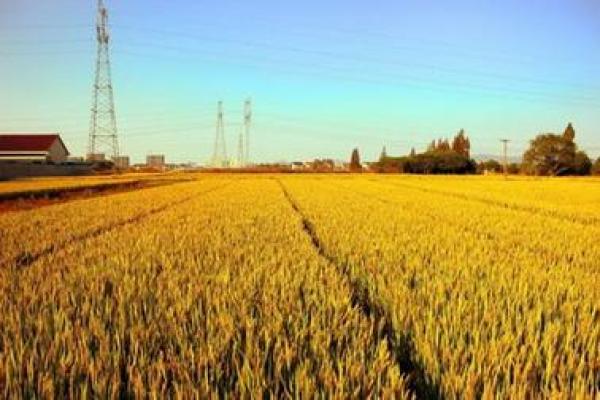 属土命的人最忌讳的事物与生活智慧 属土命的人最忌讳的事物与生活智慧