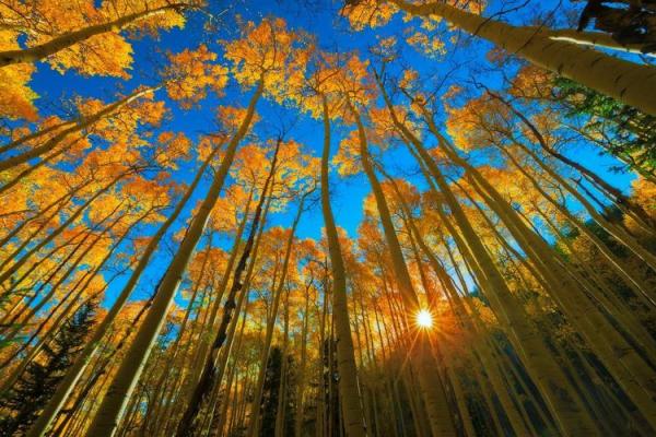 属土命的人最忌讳的事物与生活智慧 属土命的人最忌讳的事物与生活智慧