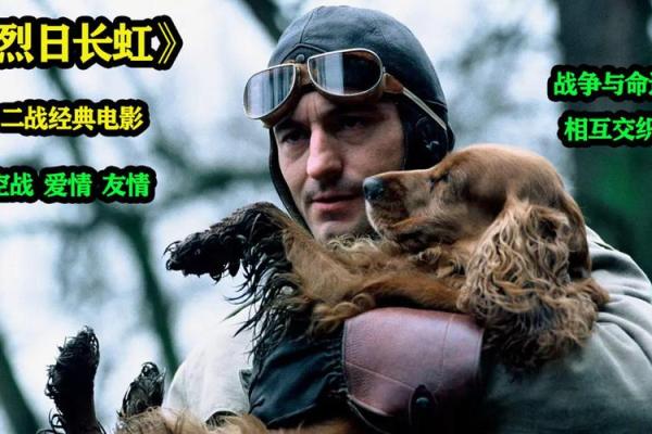 1975年:命运交织的岁月与个人故事 1975年:命运交织的岁月与个人故事