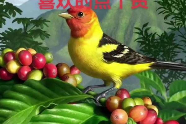 喜雀命:鸟语花香的命运寓意与人生启示 喜雀命:鸟语花香的命运寓意与人生启示