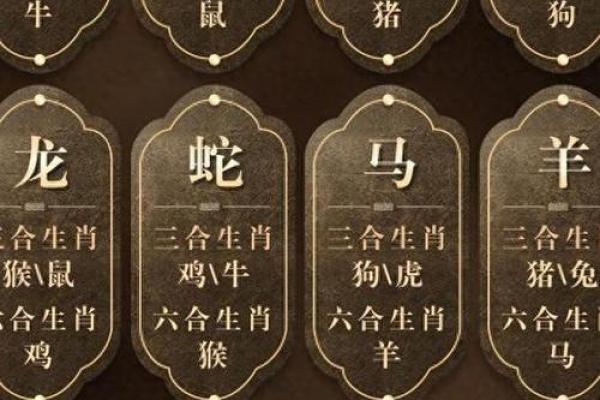 属猪的正月命理解析:最佳运势与温暖给予的启示 属猪的正月命理解析:最佳运势与温暖给予的启示