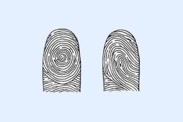 水蛇命的命理解析与补救之道 水蛇命的命理解析与补救之道