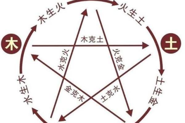 探索2023年新生儿命理:恰逢时机的宝宝们将拥有什么样的命运? 探索2023年新生儿命理:恰逢时机的宝宝们将拥有什么样的命运?