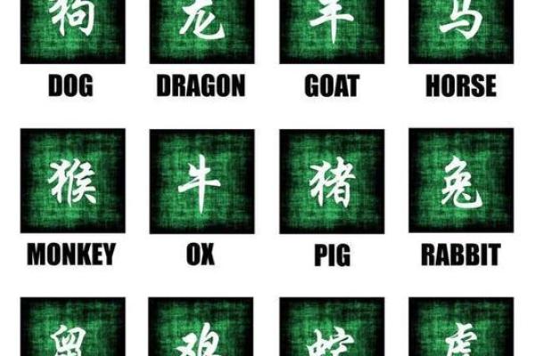 属相与命运:短命女人的背后真相揭秘 属相与命运:短命女人的背后真相揭秘