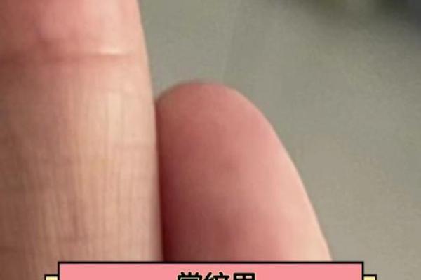 探秘手纹:看你是哪种命格的女生,揭示命运的秘密 探秘手纹:看你是哪种命格的女生,揭示命运的秘密