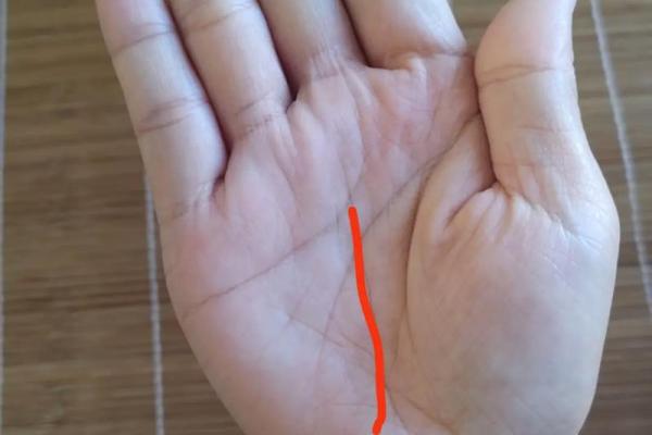 探秘手纹:看你是哪种命格的女生,揭示命运的秘密 探秘手纹:看你是哪种命格的女生,揭示命运的秘密