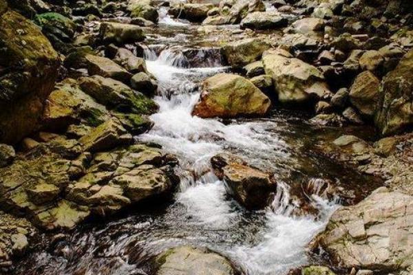 丙子涧下水命的佩戴选择与生活运势解析 丙子涧下水命的佩戴选择与生活运势解析