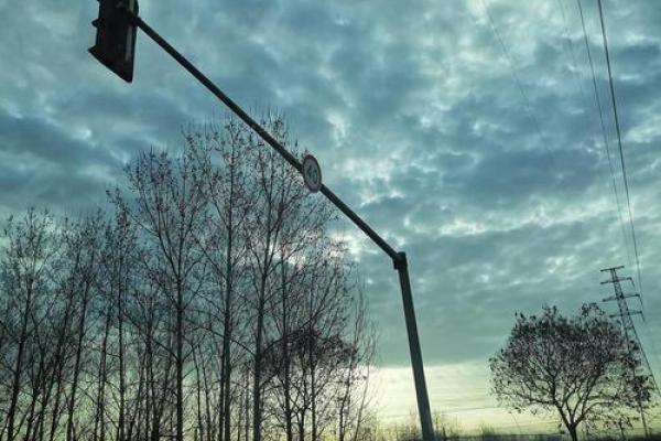 小鸟出笼:命运的自由与掌控之道 小鸟出笼:命运的自由与掌控之道