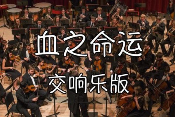 2001年10月:探索命运与生命的交响乐 2001年10月:探索命运与生命的交响乐