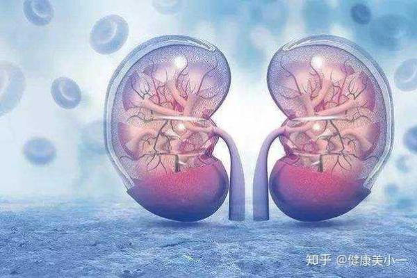 金和水命如何生育健康孩子的秘笈