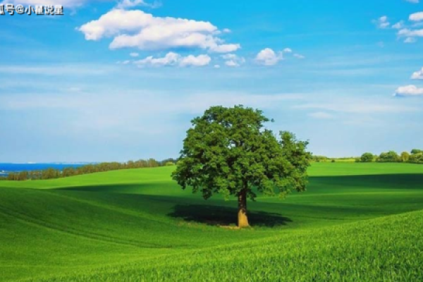 土命与泉中水命的深层解读:相辅相成的命理之美 土命与泉中水命的深层解读:相辅相成的命理之美