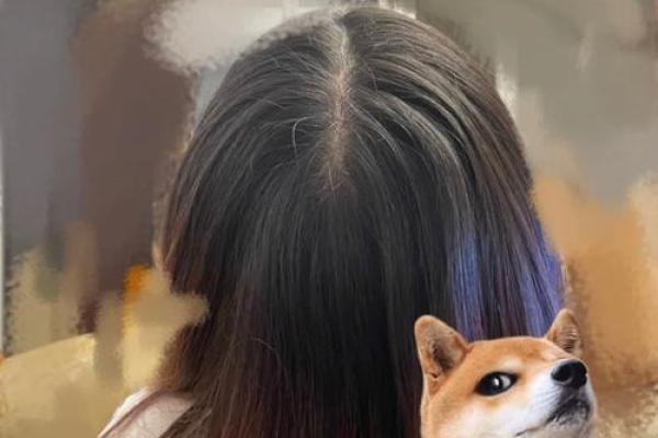 头发浓密背后的命运:揭秘厚发人群的特征与运势 头发浓密背后的命运:揭秘厚发人群的特征与运势