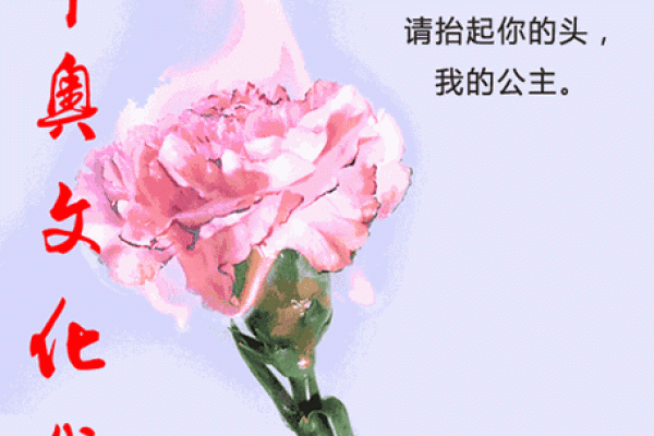 命番的深刻解读:不仅仅是数字背后的故事 命番的深刻解读:不仅仅是数字背后的故事