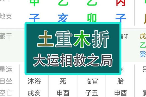 木命与土命合财的玄机:是好是坏? 木命与土命合财的玄机:是好是坏?