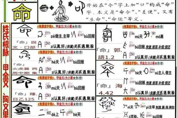 一命一命归天:生命的脆弱与珍贵 一命一命归天:生命的脆弱与珍贵